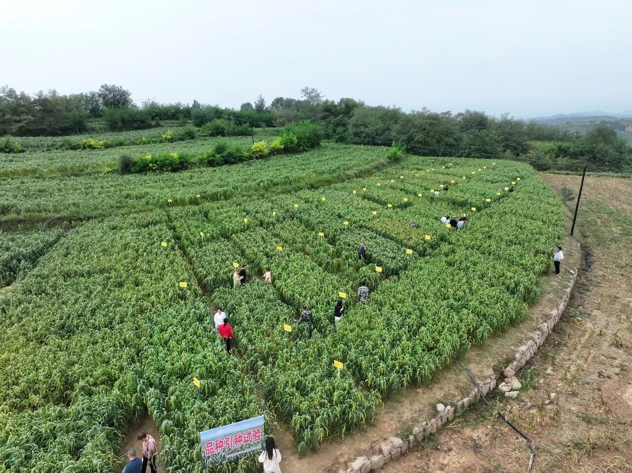 微信图片_20260603094651.jpg